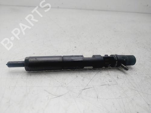 Injector RENAULT CLIO III (BR0/1, CR0/1)  | BP29394147M100 