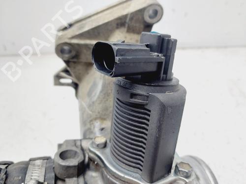 Egr OPEL MOVANO A Van (X70)  | BP28113276M69 