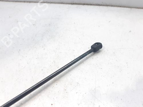 Hood lift support CITROËN XSARA Coupe (N0) 1.9 D | BP14002476C139 