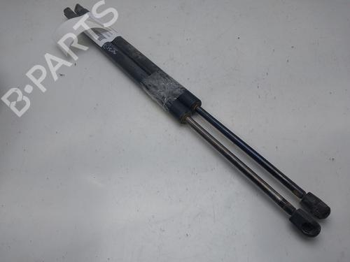 Tailgate lift support MERCEDES-BENZ M-CLASS (W164) ML 280 CDI 4-matic (164.120) | BP16353548C138 