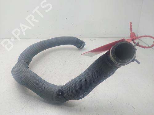 Pipe RENAULT AUSTRAL  | BP29572551M125 