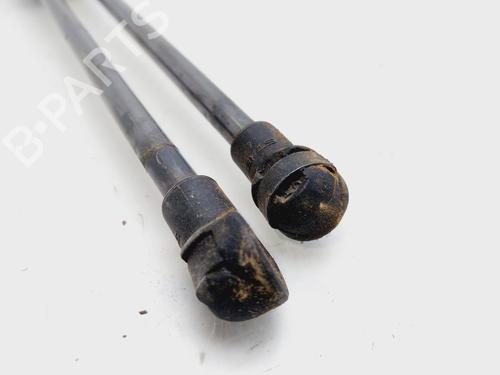 Tailgate lift support TOYOTA YARIS (_P13_)  | BP26593246C138