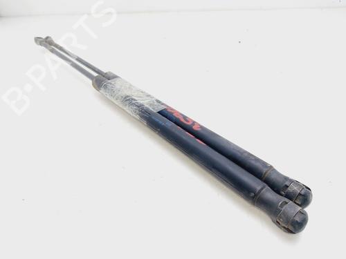 Tailgate lift support SEAT IBIZA III (6L1)  | BP20236612C138 