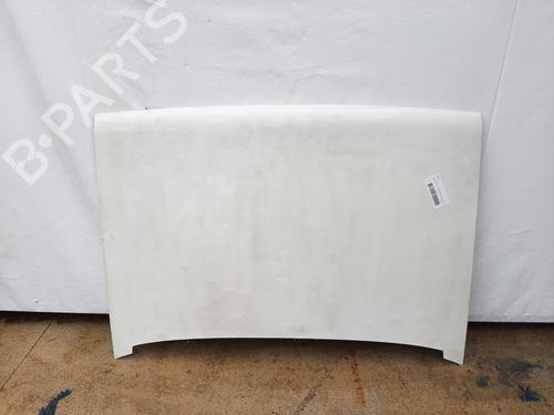 Used Hood RENAULT RAPID Box Body/MPV (F40_, G40_) 1.4 (F40U, F40V) (75 hp) 9966787
