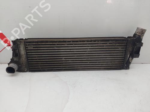 Used Intercooler RENAULT MEGANE II Saloon (LM0/1_) 1.9 dCi (LM0G, LM1G, LM2C) (120 hp) 16835174