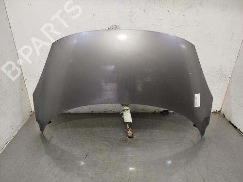 Hood RENAULT SCÉNIC III (JZ0/1_)  | BP25902767C1