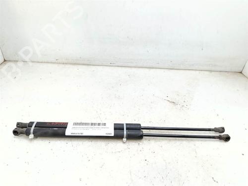 Used Tailgate lift support Tailgate lift support 38441616 38441616