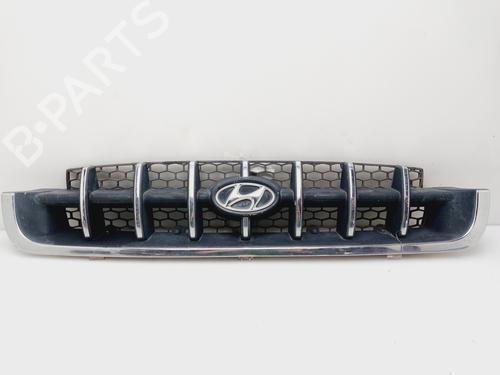 Used Grille HYUNDAI ATOS (MX) 1.0 i (54 hp) 21139520
