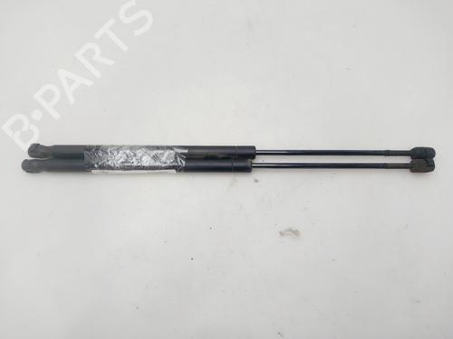 Used Tailgate lift support RENAULT SCÉNIC II (JM0/1_) [2003-2010]  28825873