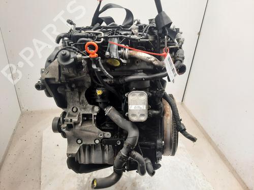 Engine VW TIGUAN (5N_)  | BP33935748M1  - Image 6