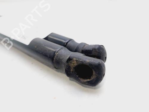 Tailgate lift support AUDI A3 Sportback (8PA)  | BP25023835C138 