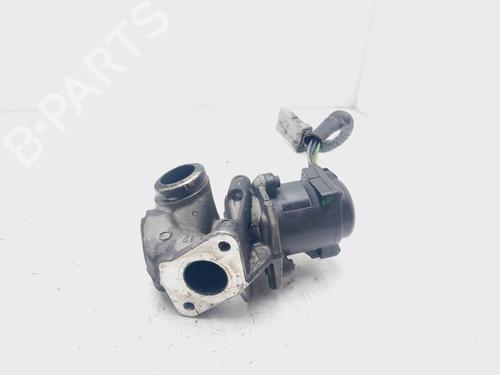 Egr FORD FOCUS C-MAX (DM2)  | BP20169591M69 