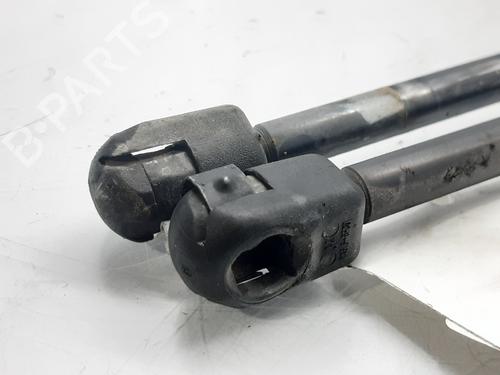 Tailgate lift support LAND ROVER RANGE ROVER SPORT I (L320) 2.7 D 4x4 | BP13999706C138 