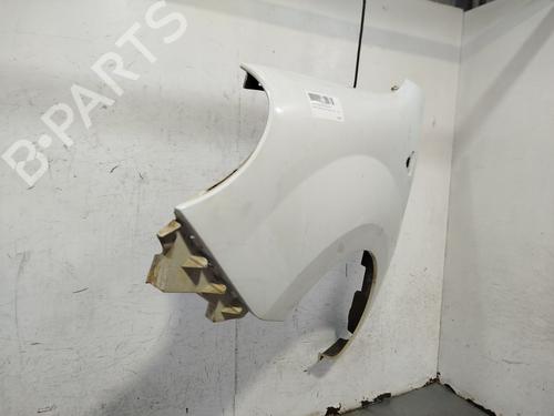 Left front fenders RENAULT KANGOO / GRAND KANGOO II (KW0/1_) 1.5 dCi 70 (KW0V, KW0A) | BP29704676C41 