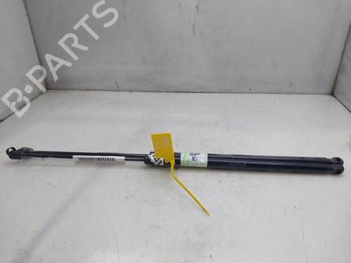 Tailgate lift support CITROËN C4 Picasso II  | BP17621138C138 