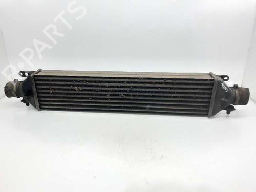 Intercooler FIAT BRAVO II (198_) 1.9 D Multijet (198AXB1A) (120 hp) 8374109