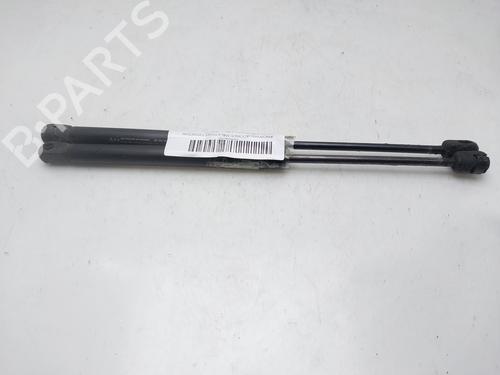 Tailgate lift support CHEVROLET AVEO / KALOS Hatchback (T200) 1.4 | BP17156701C138 
