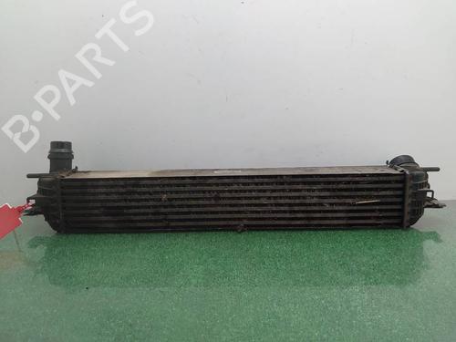 Used Intercooler Intercooler RENAULT LAGUNA III (BT0/1) [2007-2015] 40081897 40081897