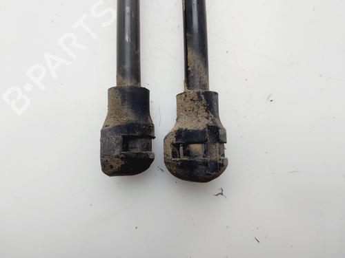 Tailgate lift support DACIA LOGAN MCV II  | BP29467865C138 