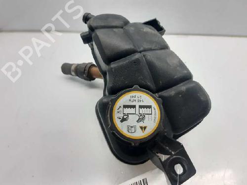 Ekspansjonstank FORD MONDEO IV (BA7) 1.8 TDCi (125 hp) 6708802