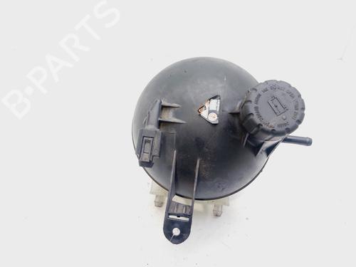 Used Expansion tank MERCEDES-BENZ A-CLASS (W169) A 160 CDI (169.006, 169.306) (82 hp) 21124948