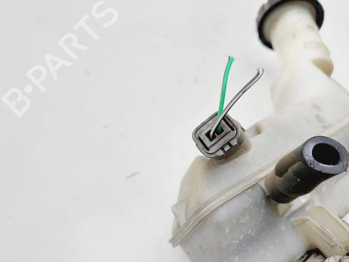 Brake master cylinder RENAULT CLIO III (BR0/1, CR0/1)  | BP19787810M77 