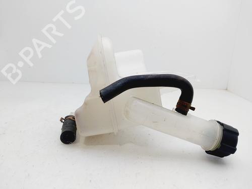 Ekspansjonstank RENAULT LAGUNA II (BG0/1_) 1.6 16V (BG0A, BG0L) | BP23891101C120 