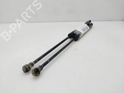 Tailgate lift support CITROËN C3 II (SC_) | BP30870495C138