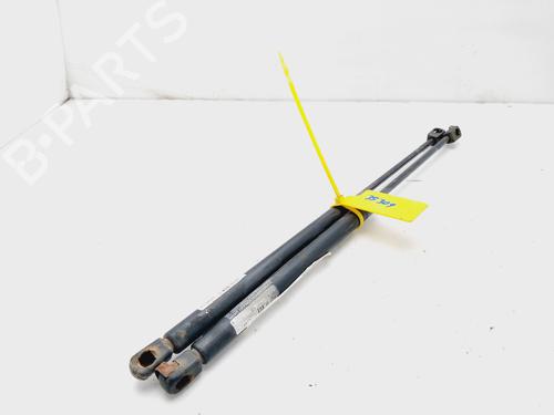 Tailgate lift support SKODA OCTAVIA I (1U2) 1.9 TDI | BP19643514C138 