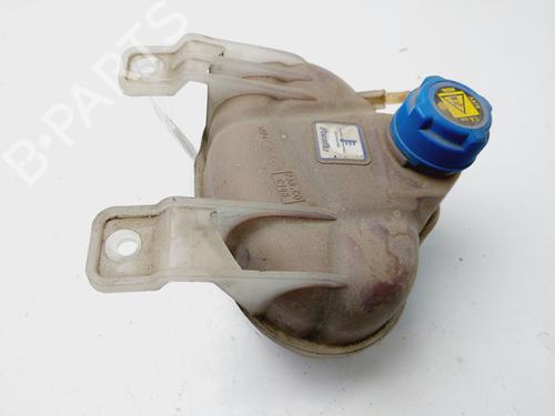 Expansion tank FIAT GRANDE PUNTO (199_) 1.3 D Multijet | BP19641900C120 