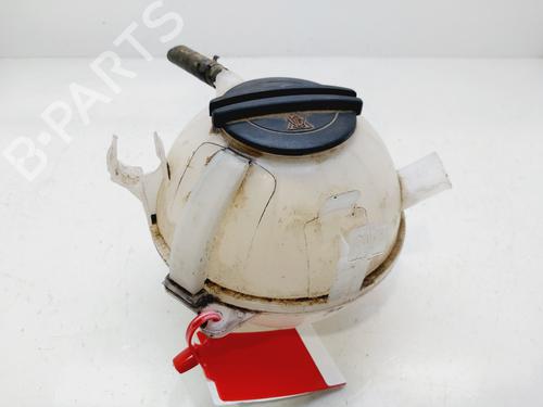 Expansion tank VW TIGUAN (5N_)  | BP29582319C120 