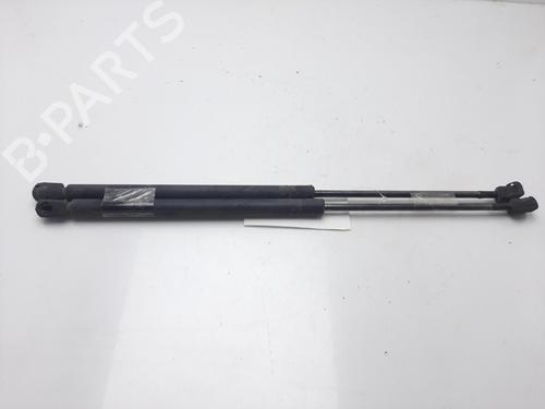 Used Tailgate lift support SKODA OCTAVIA I (1U2) 1.9 TDI (90 hp) 14009436