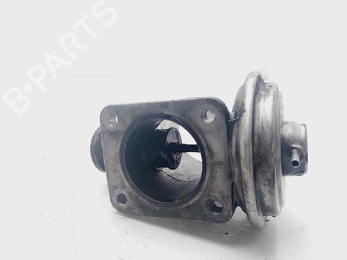 Egr BMW 5 Touring (E39) 530 d | BP20319790M69 