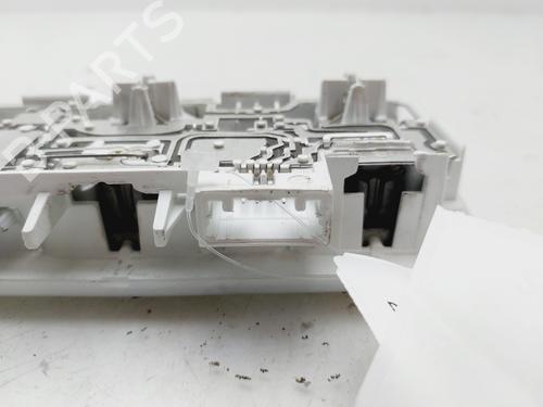 Interior roof light RENAULT SCÉNIC III (JZ0/1_) 1.2 TCe (JZ16) | BP29267200I8 