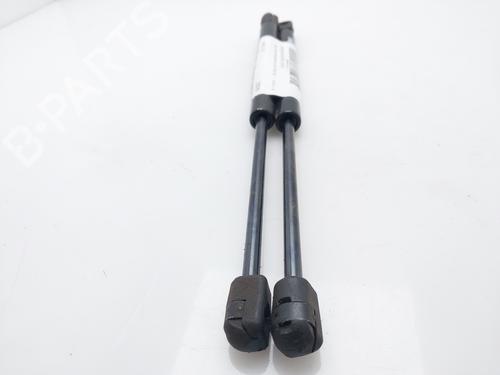Hood lift support LAND ROVER FREELANDER 2 (L359) 2.2 TD4 4x4 | BP16353580C139 