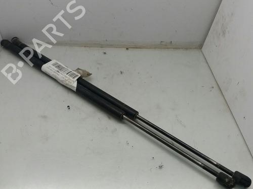 Used Tailgate lift support FORD FIESTA V (JH_, JD_) 1.4 TDCi (68 hp) 14002556