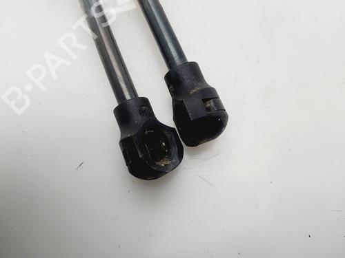 Tailgate lift support DACIA SANDERO II | BP32467999C138