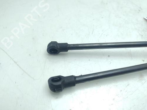 Hood lift support BMW X1 (E84) sDrive 20 d | BP22404785C139 