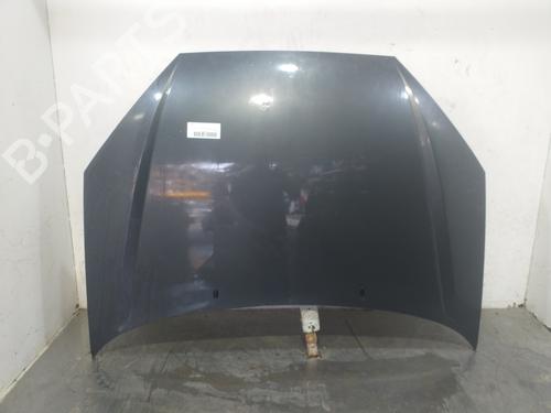 Used Hood FORD FOCUS I (DAW, DBW) 1.6 16V (100 hp) 20225400