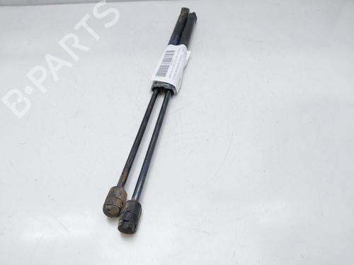 Tailgate lift support CITROËN XSARA Coupe (N0) 1.9 D | BP14010002C138 