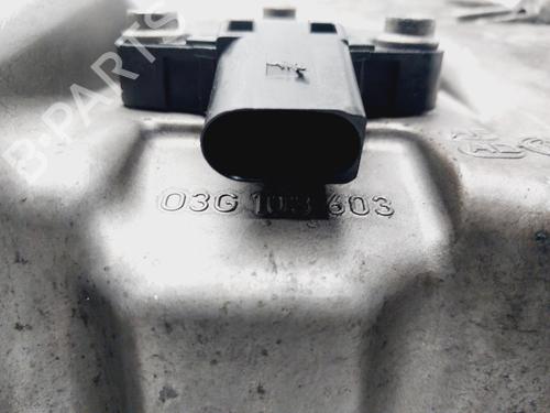 Oil sump VW TOURAN (1T1, 1T2) 1.9 TDI | BP29584497M115 