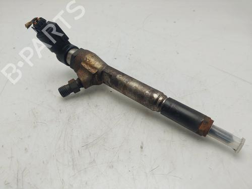 Spreder / Dyse RENAULT MEGANE II (BM0/1_, CM0/1_) 1.5 dCi (BM16, CM16) (103 hp) 21560795