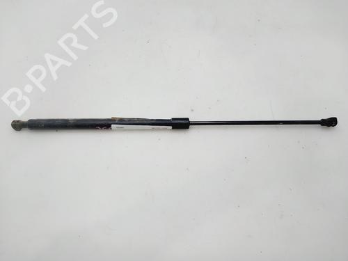 hood-lift-support-dacia-sandero-ii-2012-34509718 main image