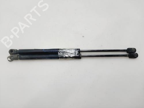 Gassdemper Bakluke RENAULT CLIO II (BB_, CB_) 1.2 (BB0A, BB0F, BB10, BB1K, BB28, BB2D, BB2H, CB0A,... (58 hp) 28123459