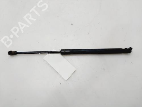 Used Hood lift support VW CADDY III MPV (2KB, 2KJ, 2CB, 2CJ) 1.9 TDI (105 hp) 28974049