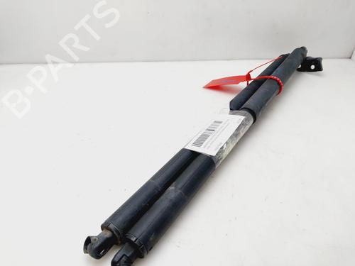 Used Tailgate lift support OPEL INSIGNIA A Sports Tourer (G09) 2.0 CDTI (35) (131 hp) 21600025