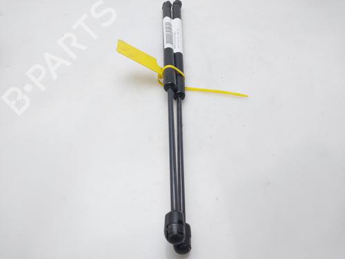 Hood lift support AUDI Q7 (4LB) 3.0 TDI quattro | BP17070290C139 