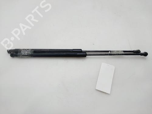 tailgate-lift-support-nissan-qashqai-i-j10-nj10-2006-2007-2008-2009-2010-2011-2012-2013-2014-2015-32435105 main image