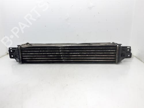 Intercooler CHEVROLET CAPTIVA (C100, C140) 2.0 D | BP7462142M30 