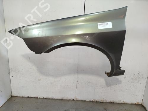 left-front-fenders-renault-laguna-ii-bg01_-2001-2002-2003-2004-2005-2006-2007-34206860 main image
